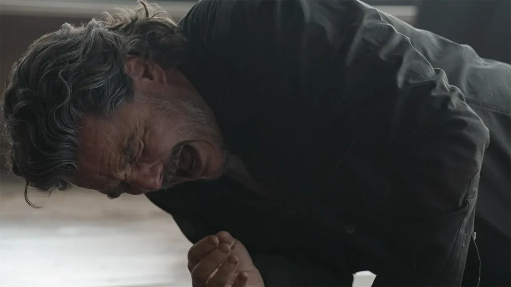 The Last of Us Temporada 2
